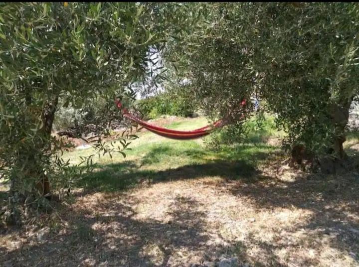 Panorama Olive Garden Apartment Nea Nea Makri Extérieur photo